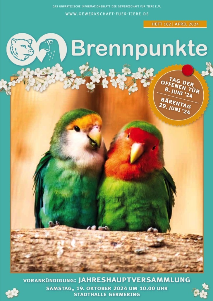 Brennpunkte Mitgliedermagazin