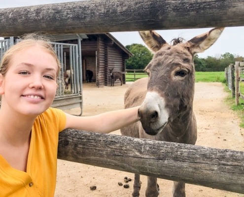 Nina und die Haustiere - Kika - in Gut Streiflach: © BR/Text und Bild Medienproduktion/Marcella Müller